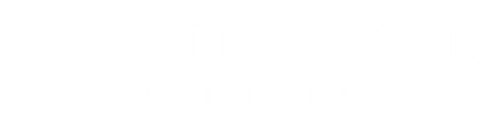 North Star Partners